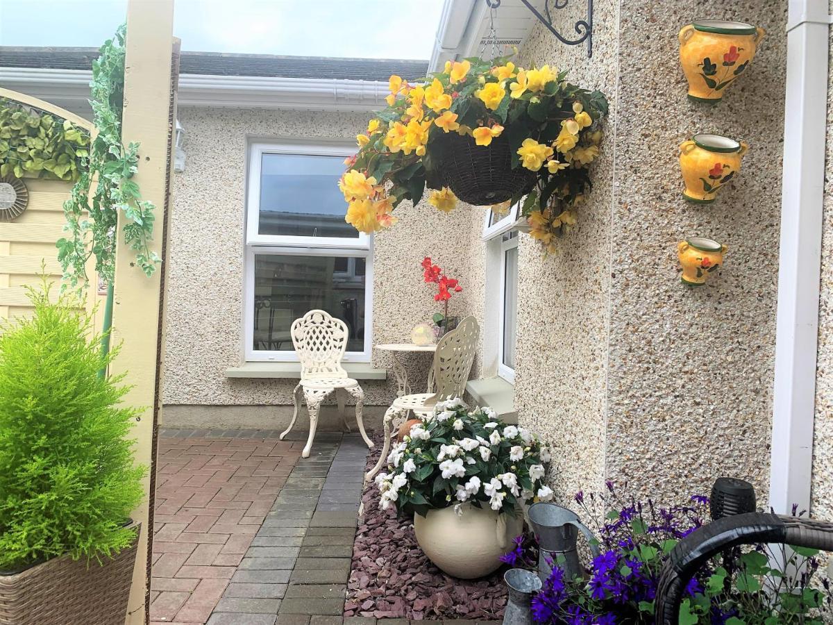 Naas 2 Bedroom Back Garden Escape Екстериор снимка